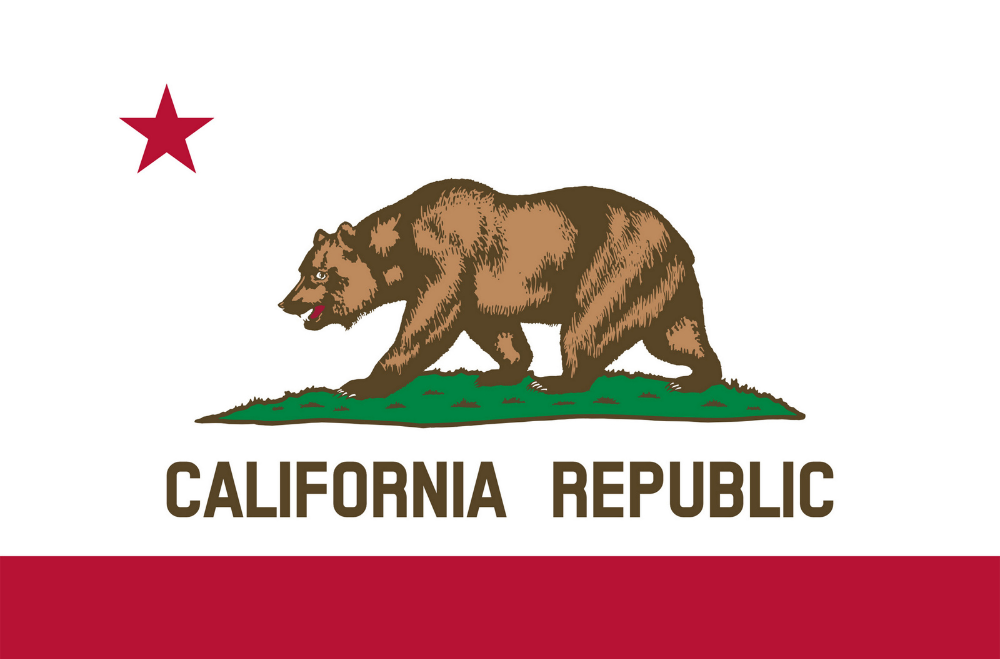 One Misstep, Big Consequences Facing Property Crime Charges in California
